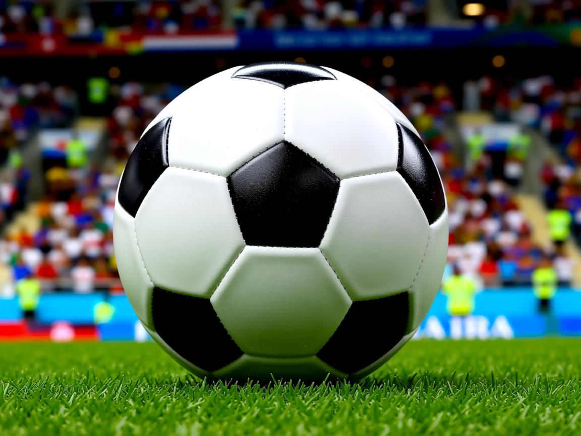 开云体育官网-中国篮球场馆运营商业模式是否可持续,篮球馆市场容量或变化趋势 第3张