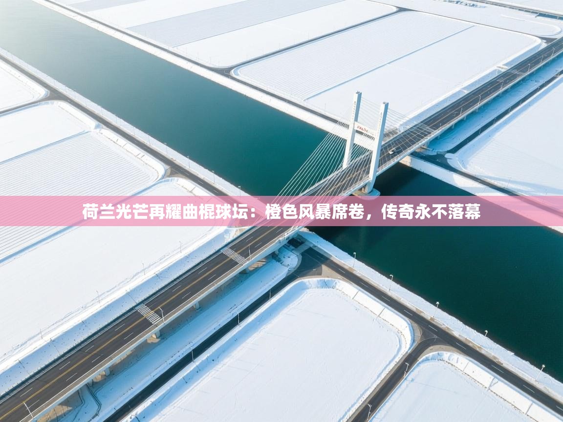 荷兰光芒再耀曲棍球坛：橙色风暴席卷，传奇永不落幕